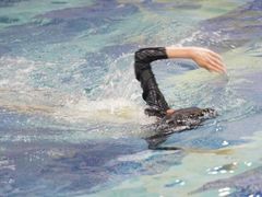 -水宝贝亲子游泳·水育早教运动中心(南海广场店)