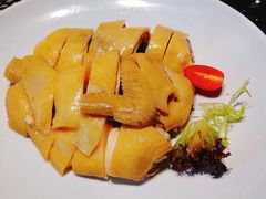 -新兴·金羊座·粤菜点心(乐峰店)