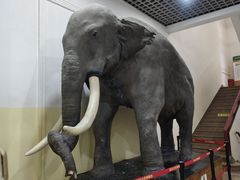 -国家自然博物馆