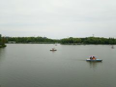 -昆山城市生态森林公园