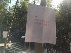 -宁波浙东大竹海景区