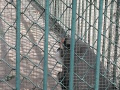 -秦皇岛野生动物园
