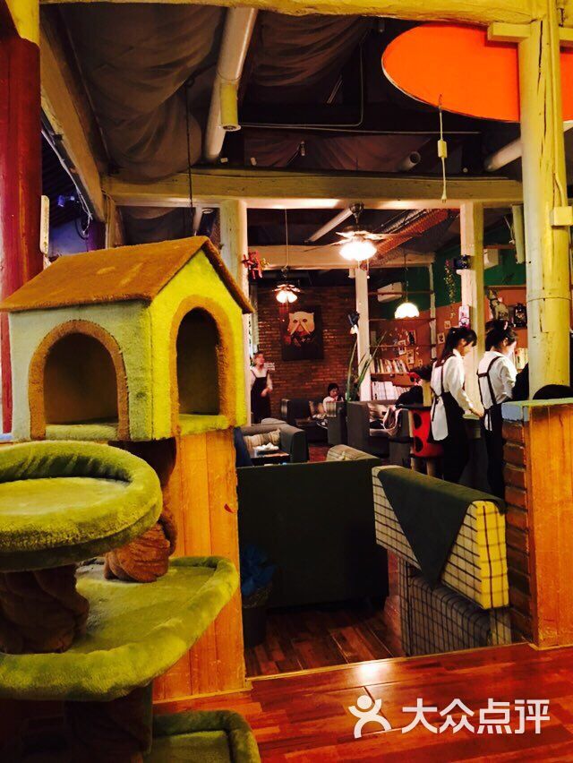 猫小院猫主题餐厅(北锣店)-图片-北京美食-大众点评网