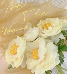 -美肤盾祛痘·问题肌头疗管理中心