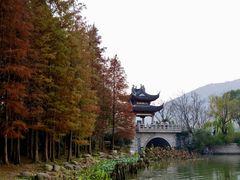 -长广溪湿地公园