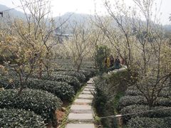 -樱桃山旅游景区