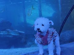 -太平洋海底世界