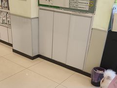 -艾吉宠物医院24小时转诊·微创·心脏介入中心(虹口店)