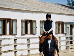 -北京群众马术培训基地