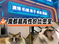 -白兔子密室(长寿路店)