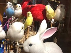 -RGF(巨鹿路店)