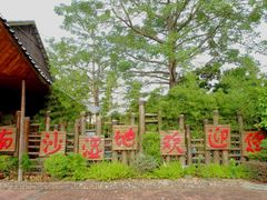 -大湾区中央湿地公园