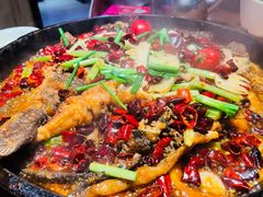 -老板恋上鱼(高新万达店)