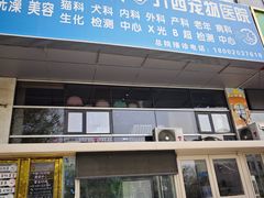 -A猫a狗全科·犬猫异宠·芥西宠物医院(南开总院)