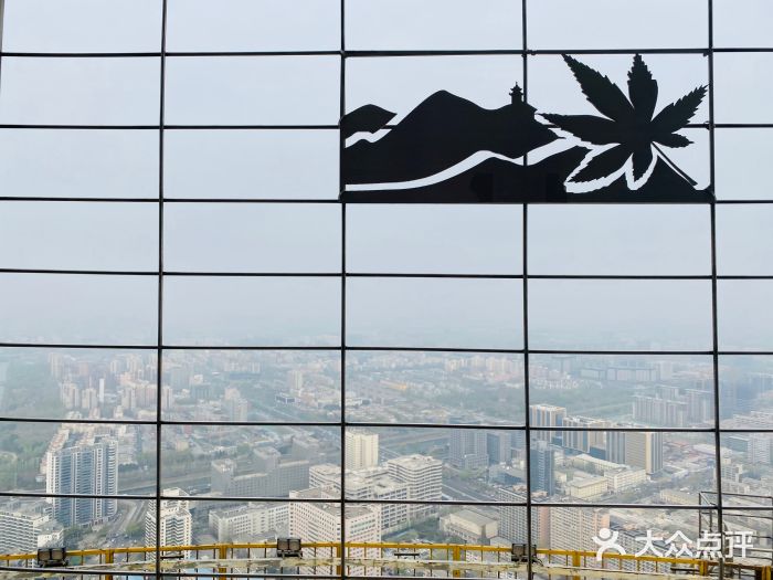 中央广播电视塔图片