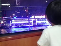 -珠江夜游西堤码头
