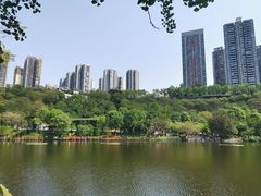 -重庆彩云湖湿地公园