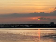 -宝安西湾红树林湿地公园