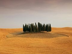 -金石国际大酒店·金丽自助餐厅