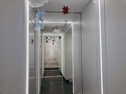 -处女座·MISS VIRGO·半永久纹眉野生眉