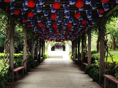 -白马涧龙池景区