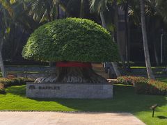 -海南清水湾莱佛士酒店