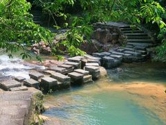 -广州白江湖森林公园