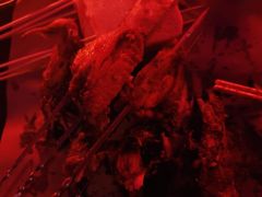 -夜火烤摊·东北烧烤酒场·老杨小黄鱼