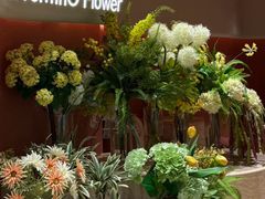 -深圳湾万象城(南山店)