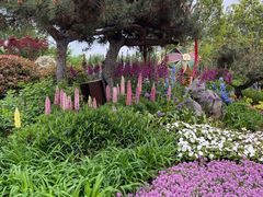 -唐城墙遗址公园