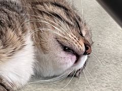 -中田健身工作室(嘉定江桥店)