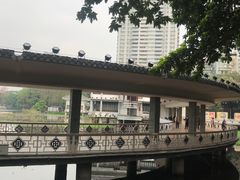 -荔湾湖公园