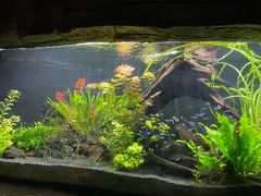 -上海海洋水族馆