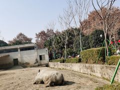 -成都动物园
