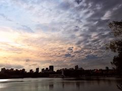 -黄兴公园