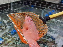 -黄弟大排档·湖南菜·小龙虾·小海鲜(凯旋北路店)