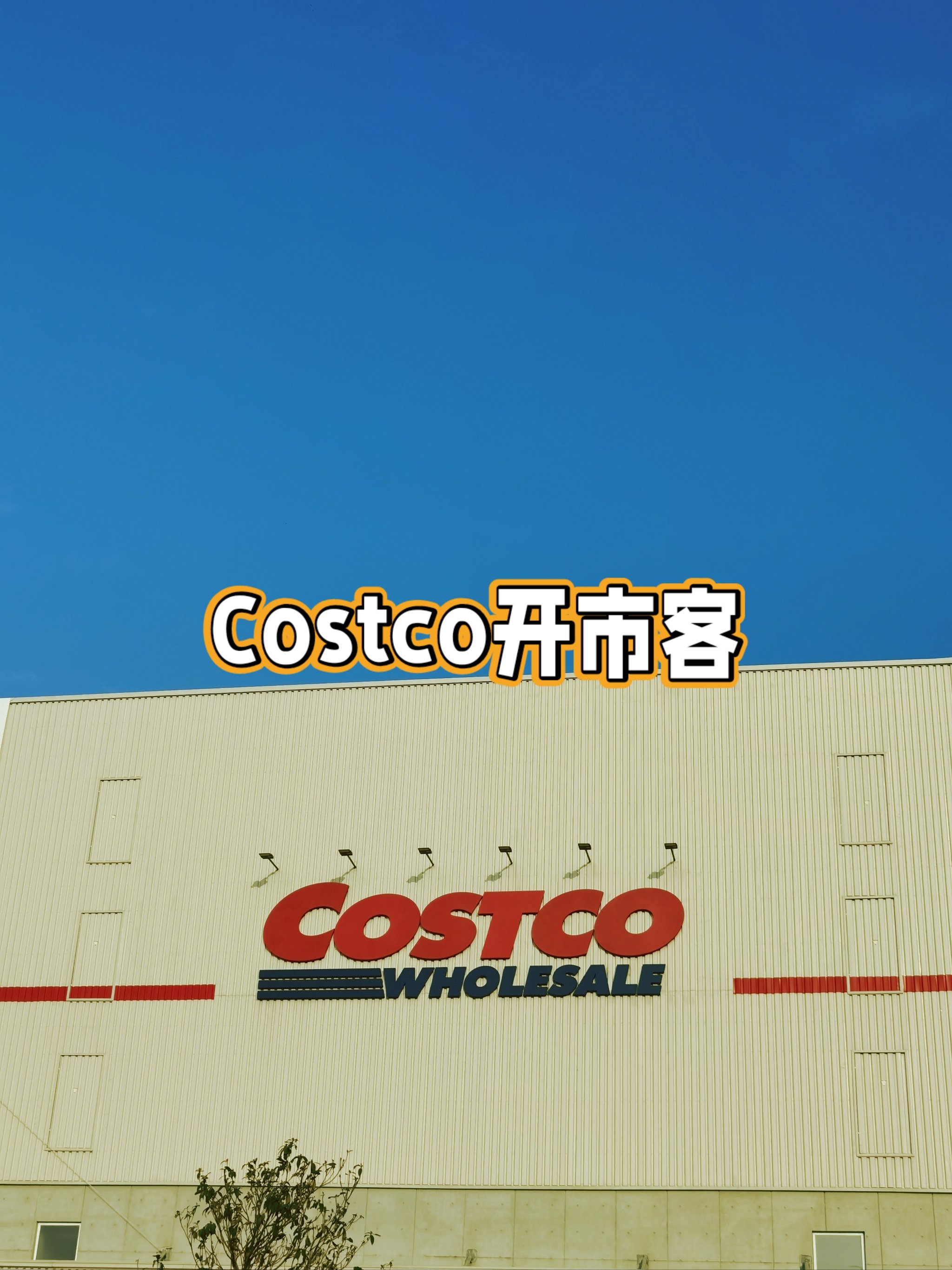 costco怎么读图片