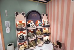 -meland亲子乐园•派对•研学(宁波华润万象城店)