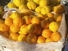 -北京清河镇农副产品交易市场中心