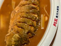 -阿五黄河大鲤鱼(英协路店)