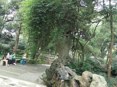 -灵岩山风景区