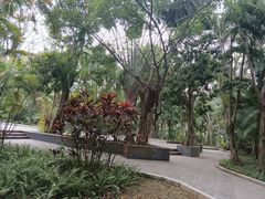 -深圳国际园林花卉博览园