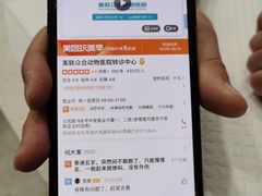 -纳吉亚猫专科动物医院·北北分院