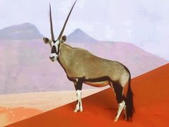 -罗红摄影艺术馆