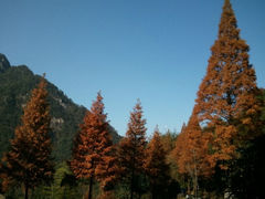 -大明山自然探索公园