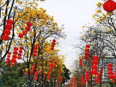 -洲头咀公园
