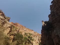 -元谋土林景区(物茂土林)