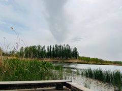 -马家湾湿地公园