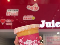 -南澳岛打卡果汁冰公司