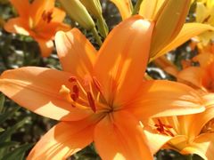 -长春公园(普阳街道)